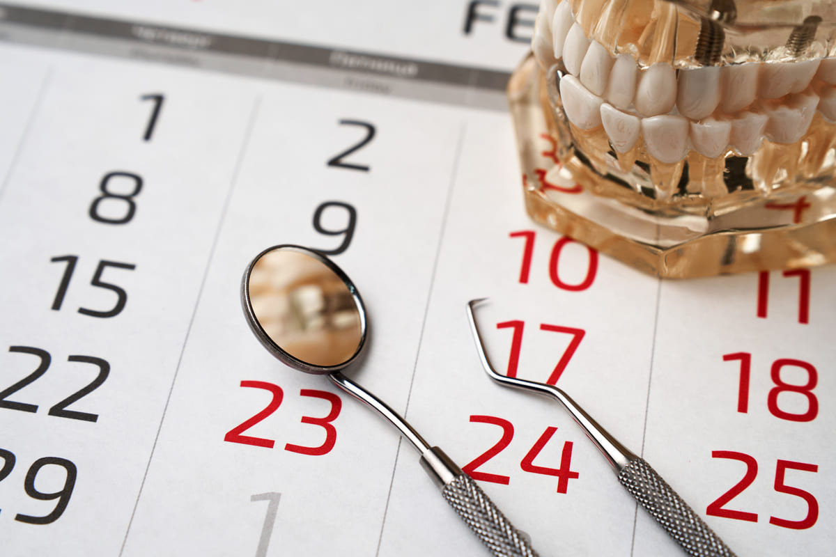 Calendario y modelo dental para planificar revisiones