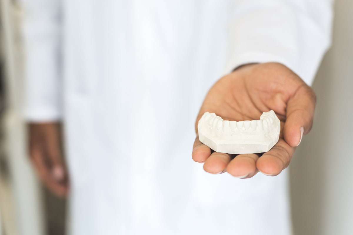 Modelo dental sostenido por un profesional